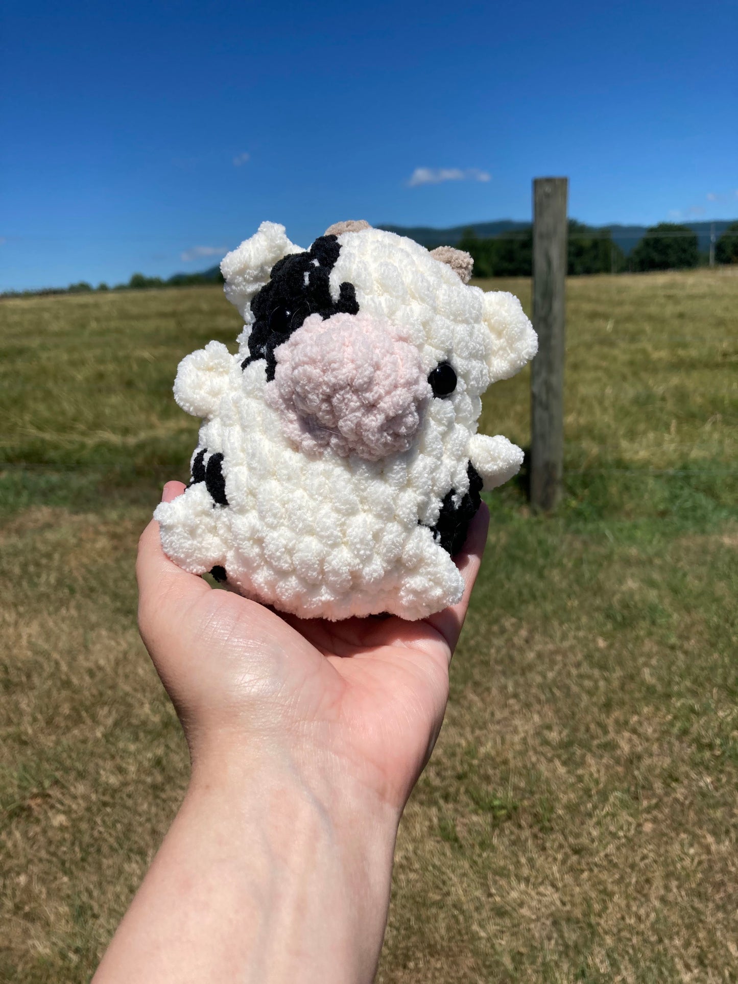Chubby Buddy Cow