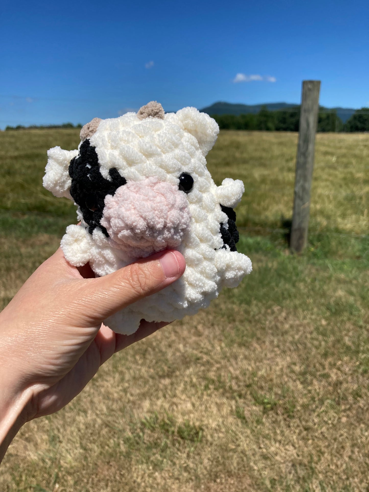 Chubby Buddy Cow