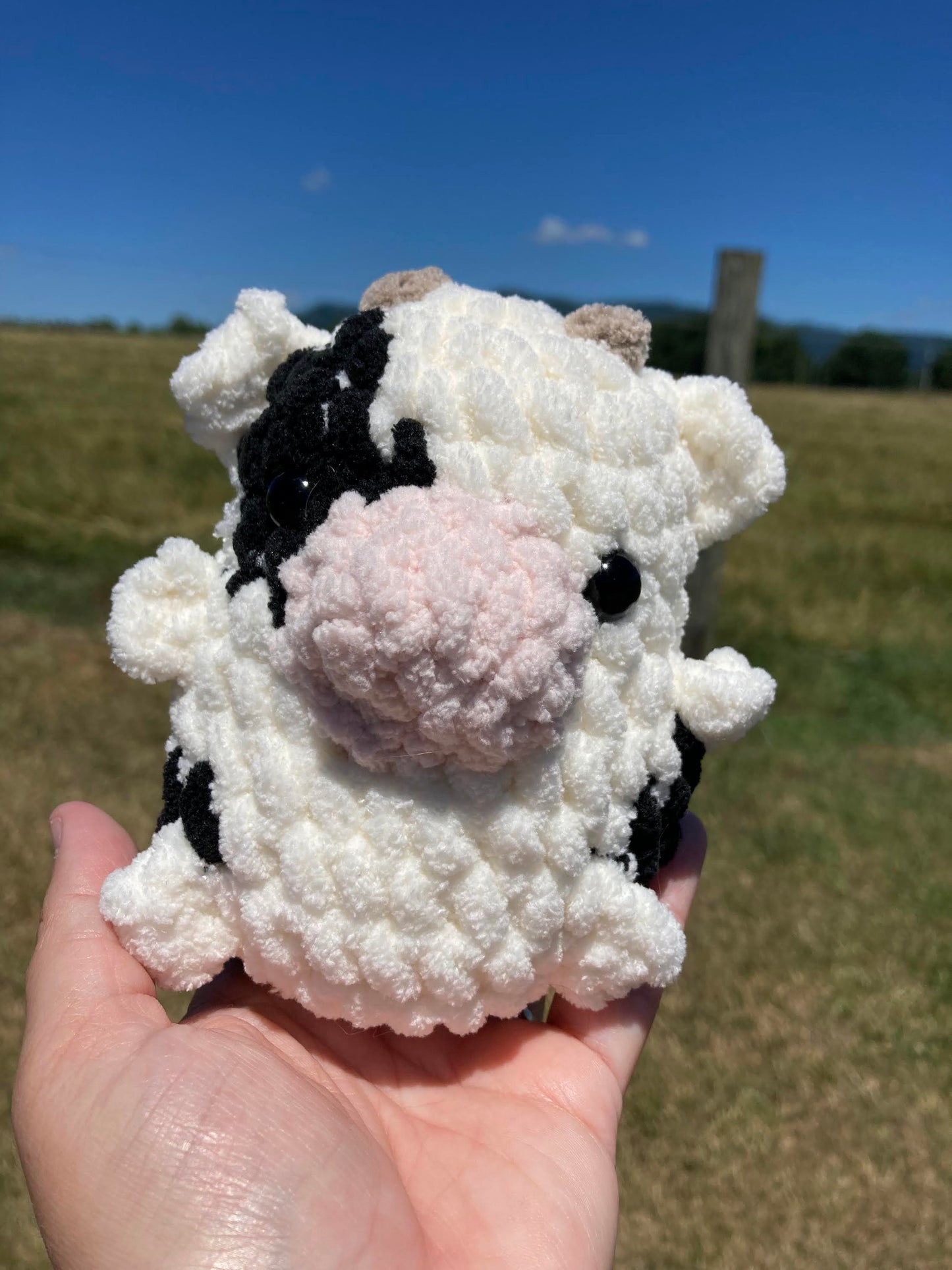 Chubby Buddy Cow