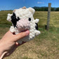 Chubby Cow Buddy